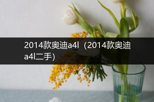 2014款奥迪a4l(2014款奥迪a4l二手)