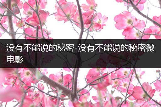 没有不能说的秘密-没有不能说的秘密微电影