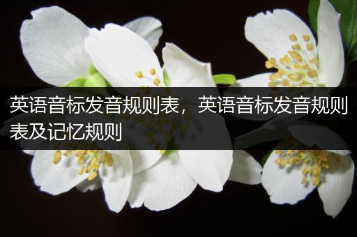 英语音标发音规则表,英语音标发音规则表及记忆规则