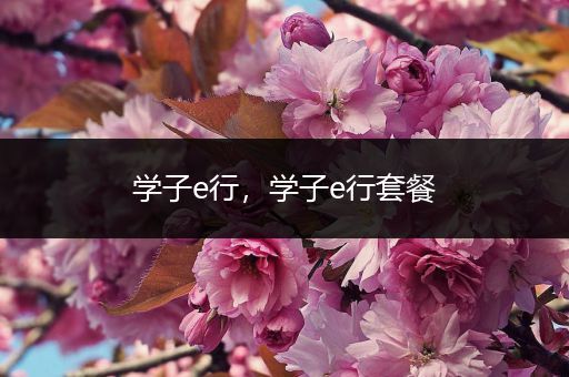 学子e行,学子e行套餐