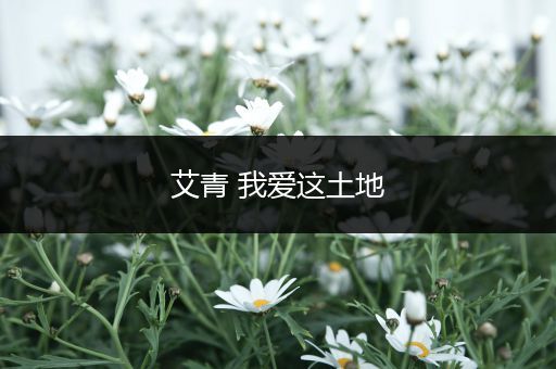 艾青 我爱这土地