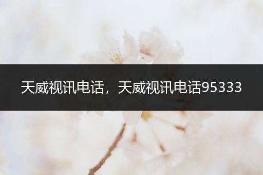 天威视讯电话,天威视讯电话95333