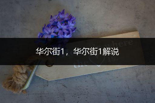 华尔街1,华尔街1解说