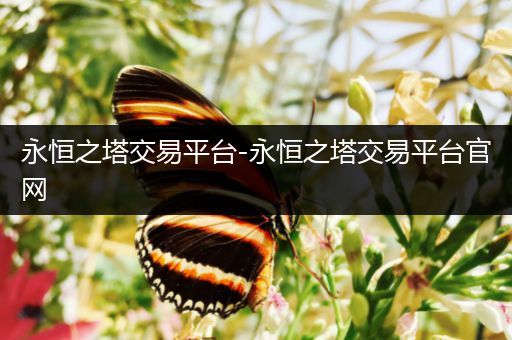 永恒之塔交易平台-永恒之塔交易平台官网