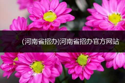 (河南省招办)河南省招办官方网站