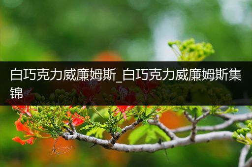 白巧克力威廉姆斯_白巧克力威廉姆斯集锦