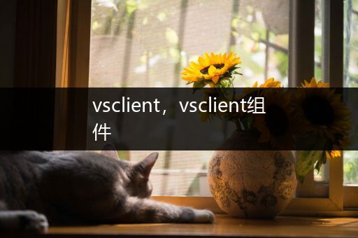vsclient,vsclient组件