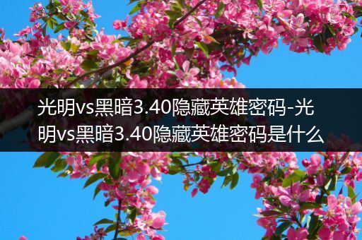 光明vs黑暗3.40隐藏英雄密码-光明vs黑暗3.40隐藏英雄密码是什么