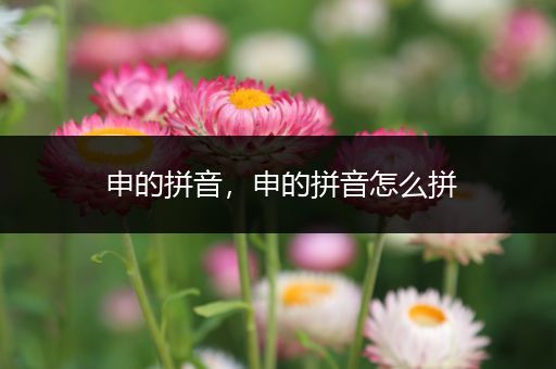 申的拼音,申的拼音怎么拼