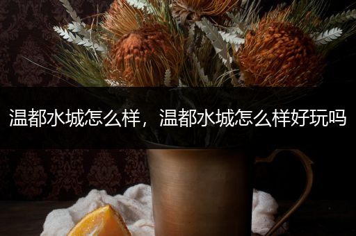 温都水城怎么样,温都水城怎么样好玩吗