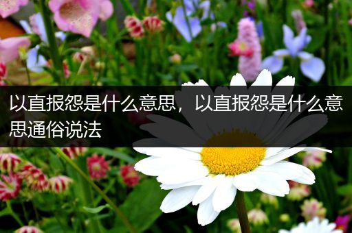 以直报怨是什么意思,以直报怨是什么意思通俗说法