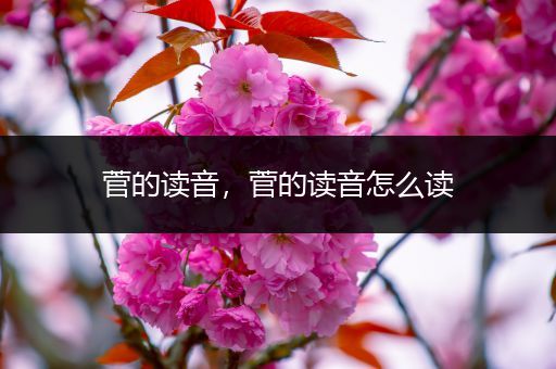 菅的读音,菅的读音怎么读