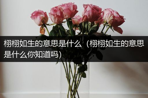 栩栩如生的意思是什么(栩栩如生的意思是什么你知道吗)