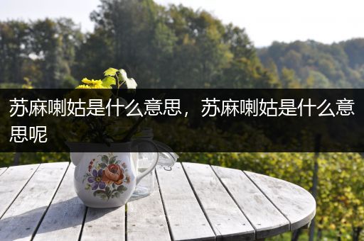 苏麻喇姑是什么意思,苏麻喇姑是什么意思呢