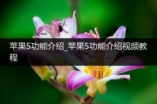 苹果5功能介绍_苹果5功能介绍视频教程