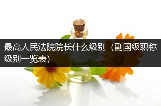 最高人民法院院长什么级别(副国级职称级别一览表)