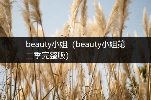 beauty小姐(beauty小姐第二季完整版)