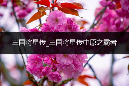 三国将星传_三国将星传中原之霸者