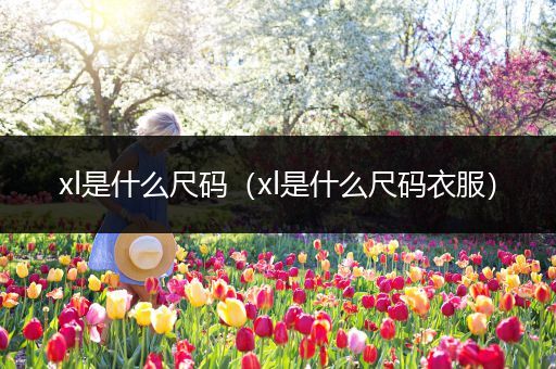 xl是什么尺码(xl是什么尺码衣服)