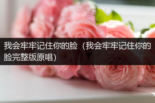 我会牢牢记住你的脸(我会牢牢记住你的脸完整版原唱)