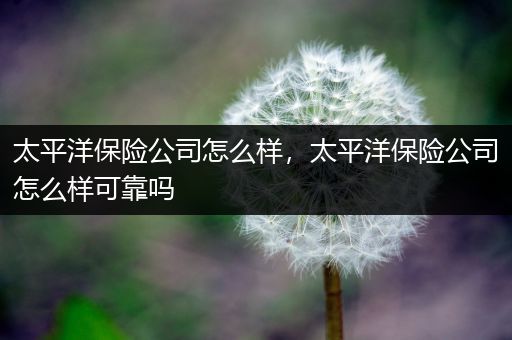太平洋保险公司怎么样,太平洋保险公司怎么样可靠吗