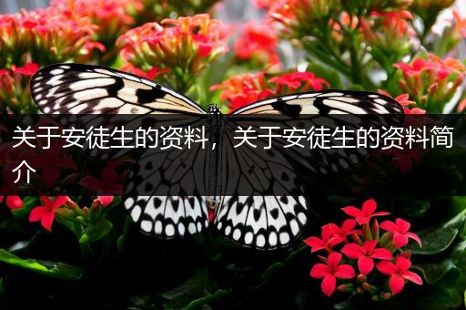 关于安徒生的资料,关于安徒生的资料简介