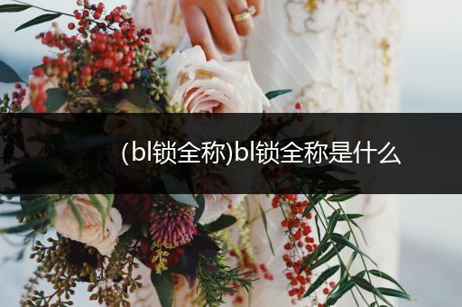 (bl锁全称)bl锁全称是什么