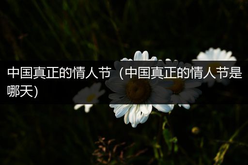 中国真正的情人节(中国真正的情人节是哪天)