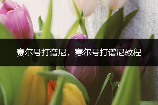 赛尔号打谱尼,赛尔号打谱尼教程