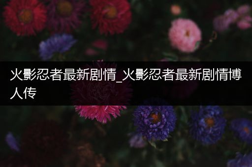 火影忍者最新剧情_火影忍者最新剧情博人传