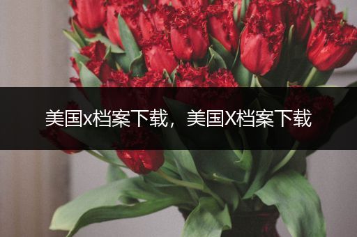 美国x档案下载,美国X档案下载