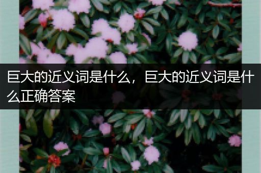 巨大的近义词是什么,巨大的近义词是什么正确答案