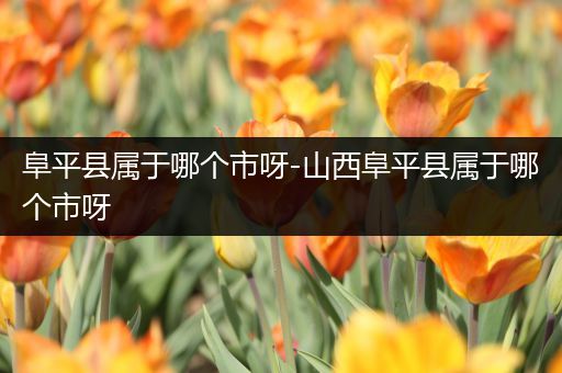 阜平县属于哪个市呀-山西阜平县属于哪个市呀