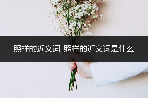 照样的近义词_照样的近义词是什么