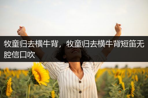 牧童归去横牛背,牧童归去横牛背短笛无腔信口吹