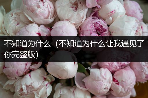 不知道为什么(不知道为什么让我遇见了你完整版)