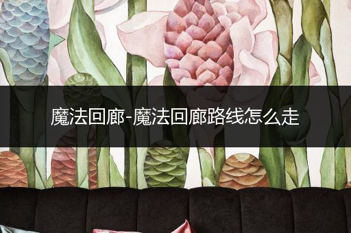 魔法回廊-魔法回廊路线怎么走