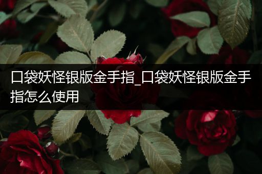 口袋妖怪银版金手指_口袋妖怪银版金手指怎么使用
