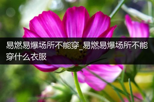 易燃易爆场所不能穿_易燃易爆场所不能穿什么衣服