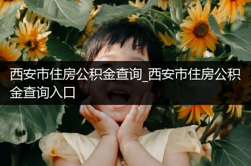 西安市住房公积金查询_西安市住房公积金查询入口
