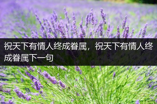 祝天下有情人终成眷属,祝天下有情人终成眷属下一句