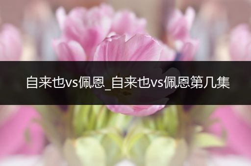 自来也vs佩恩_自来也vs佩恩第几集