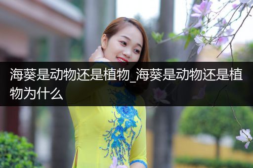海葵是动物还是植物_海葵是动物还是植物为什么