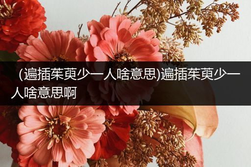 (遍插茱萸少一人啥意思)遍插茱萸少一人啥意思啊