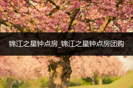 锦江之星钟点房_锦江之星钟点房团购