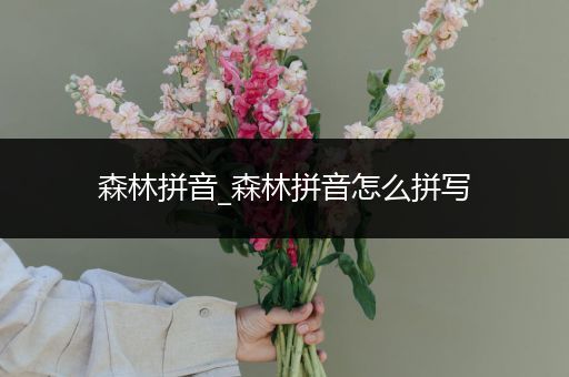 森林拼音_森林拼音怎么拼写