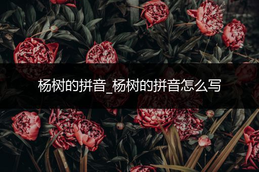 杨树的拼音_杨树的拼音怎么写