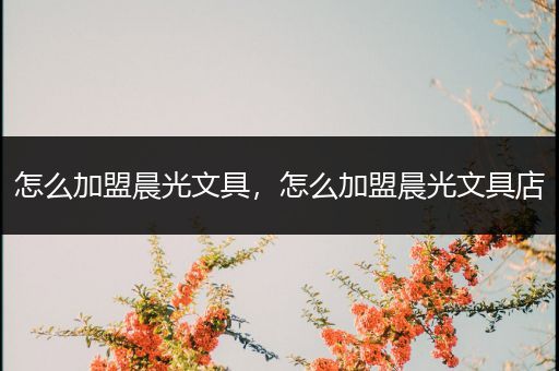 怎么加盟晨光文具,怎么加盟晨光文具店
