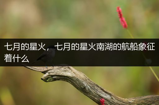 七月的星火,七月的星火南湖的航船象征着什么