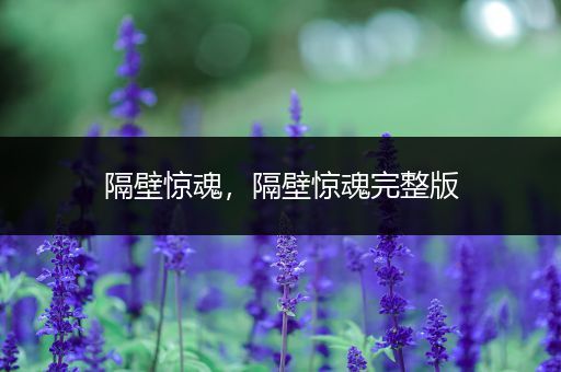 隔壁惊魂,隔壁惊魂完整版